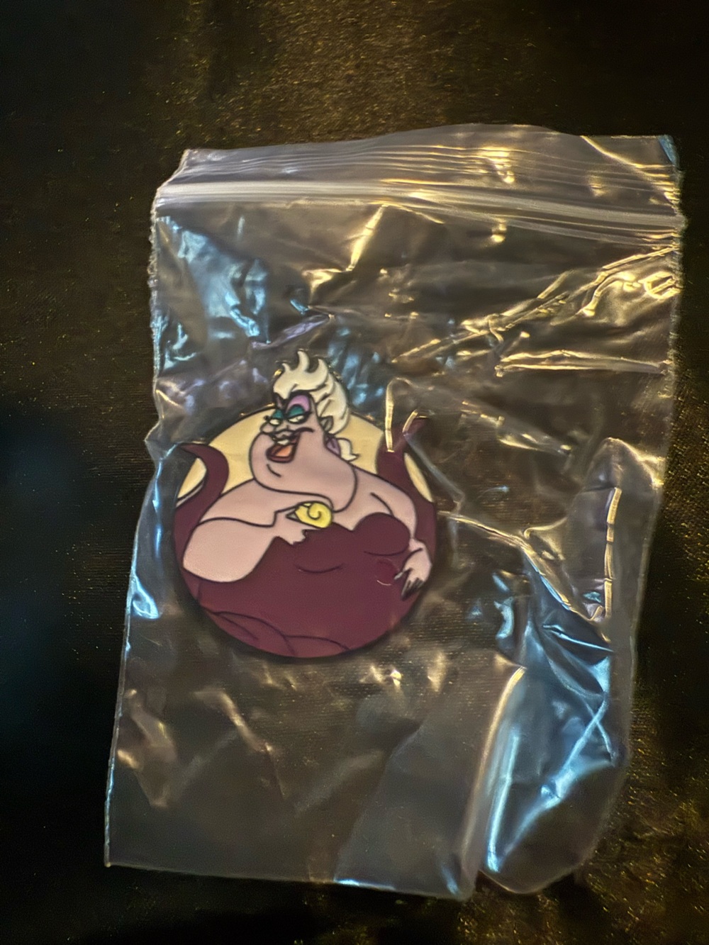 🌟Bundle Sale Ursula Pin